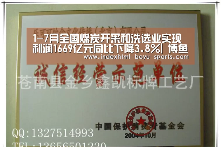 1-7月全国煤炭开采和洗选业实现利润1669亿元同比下降3.8%| 博鱼官网(图1) 博鱼官网