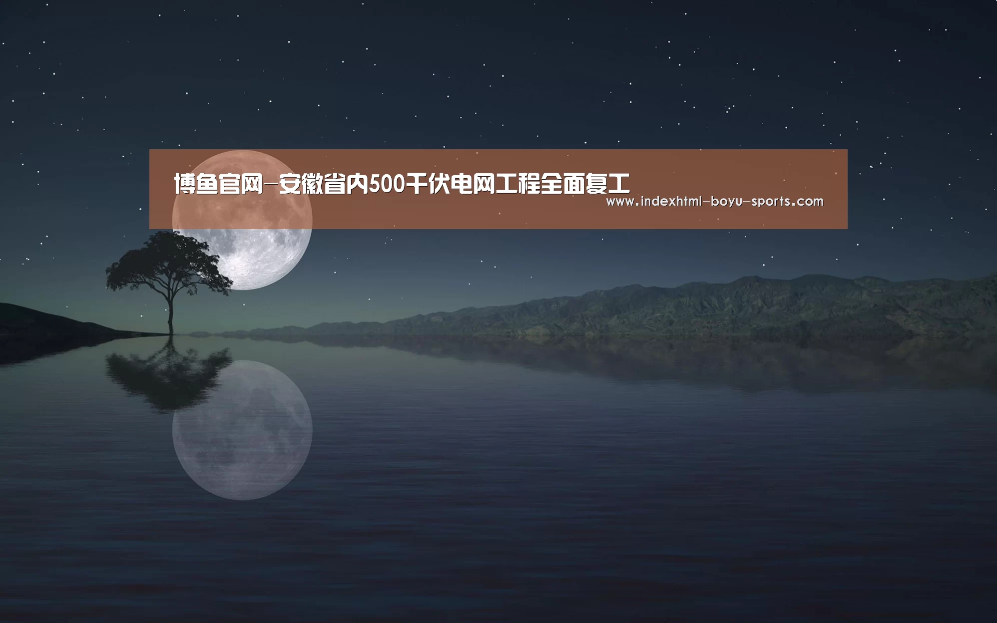  博鱼官网