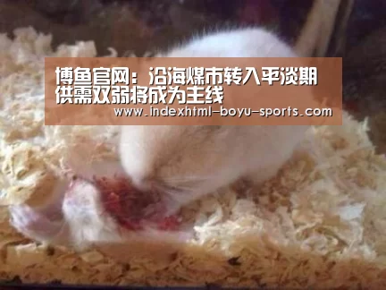 博鱼官网:沿海煤市转入平淡期供需双弱将成为主线(图1) boyu tiyu