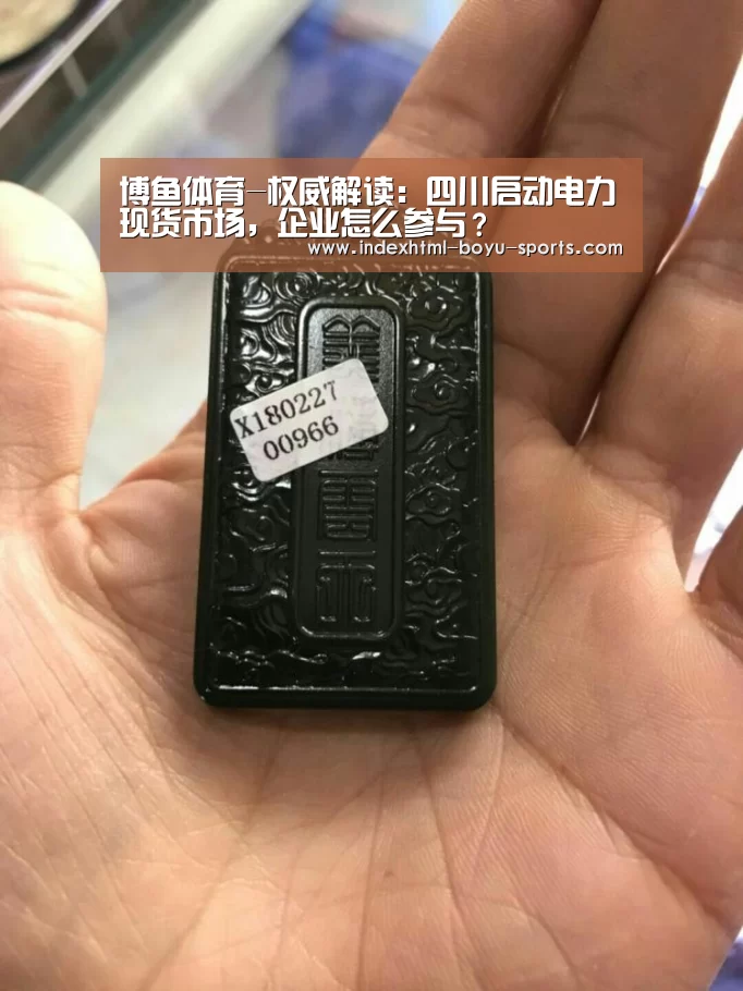 博鱼体育-权威解读:四川启动电力现货市场,企业怎么参与?(图1) 博鱼官网